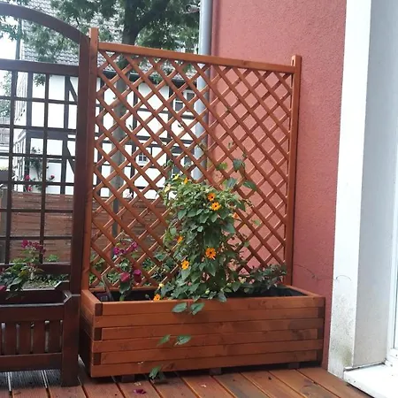 Appartement Hochpaterre Springe